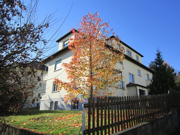 Bottmingen