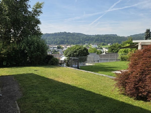 Zu verkaufen freistehendes 1½ Zi.-EFH mit grosszügigem Umschwung und Blick auf den Säntis /2 Gehminuten bis ÖV ! 11