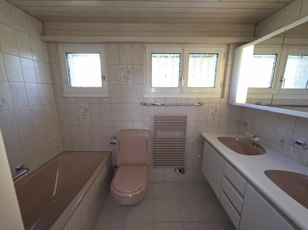 Zu verkaufen freistehendes 1½ Zi.-EFH mit grosszügigem Umschwung und Blick auf den Säntis /2 Gehminuten bis ÖV ! 8