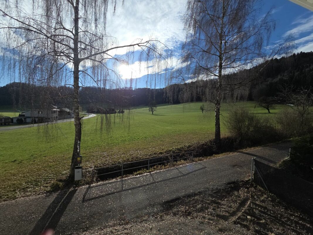 Zu verkaufen in 8362 Itaslen bei Balterswil, neues 5½ Zi.-EFH, an unverbaubarer Lage angrenzend an Landwirtschaftszone, mit Weitsicht auf Wiese !