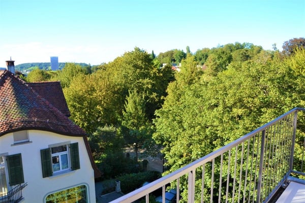 Zu vermieten 3 Zi.-Dachwohnung an der Wylandstrasse 3a in Winterthur 10