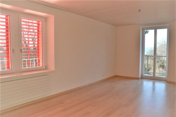 Zu vermieten 3 Zi.-Dachwohnung an der Wylandstrasse 3a in Winterthur 7