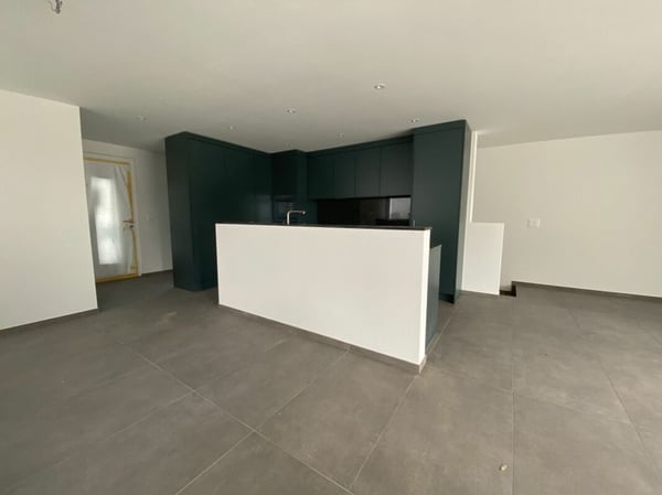 6 1/2-Zimmer-Doppeleinfamilienhaus mit nutzbarer Landfläche 5