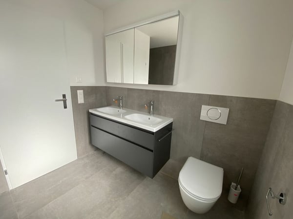 6 1/2-Zimmer-Doppeleinfamilienhaus mit nutzbarer Landfläche 6