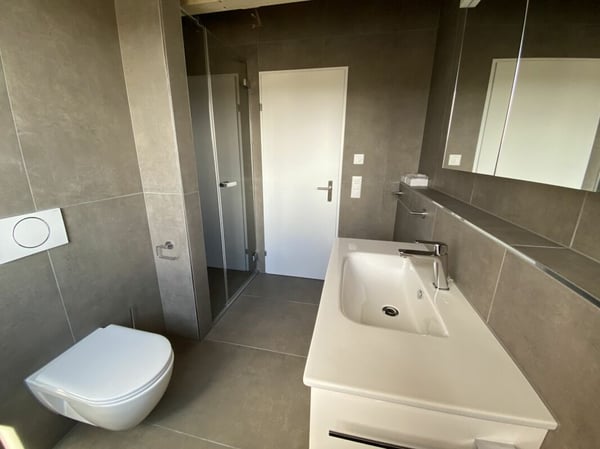 6 1/2-Zimmer-Doppeleinfamilienhaus mit nutzbarer Landfläche 9