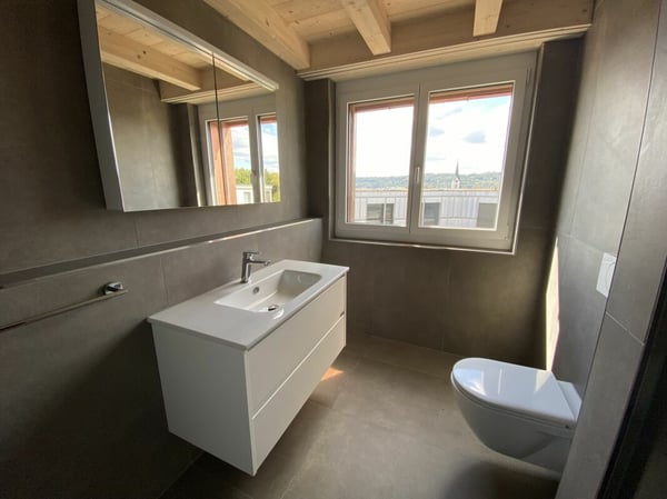 6 1/2-Zimmer-Doppeleinfamilienhaus mit nutzbarer Landfläche 8