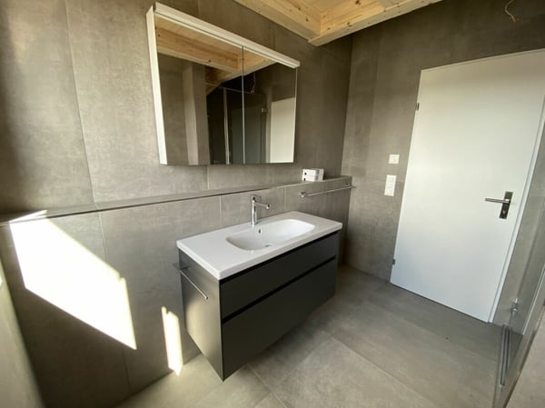 6 1/2-Zimmer-Doppeleinfamilienhaus mit nutzbarer Landfläche 11