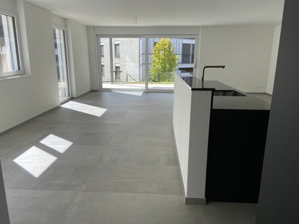6 1/2-Zimmer-Doppeleinfamilienhaus mit nutzbarer Landfläche 3