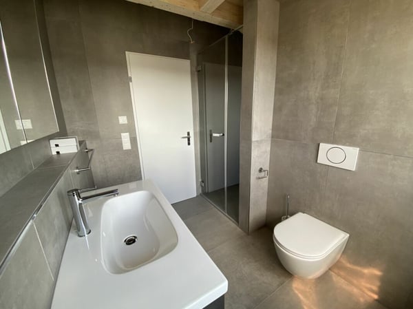 6 1/2-Zimmer-Doppeleinfamilienhaus mit nutzbarer Landfläche 8