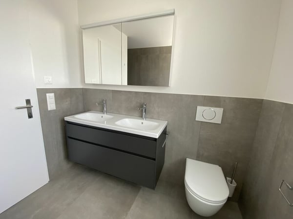 6 1/2-Zimmer-Doppeleinfamilienhaus mit nutzbarer Landfläche 6