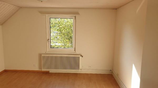 4 1/2 Zimmer-Einfamilienhaus 8