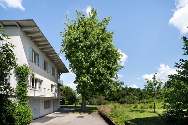 Grosszügiges Einfamilienhaus mit viel Grün und Privatsphäre