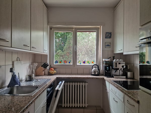 6-Zimmer-Einfamilienhaus mit grossem Garten im Neubadquartier 5