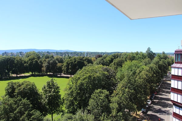 Zentral Wohnen - hoch über Basel und mit Weitblick über den Schützenmattpark 2
