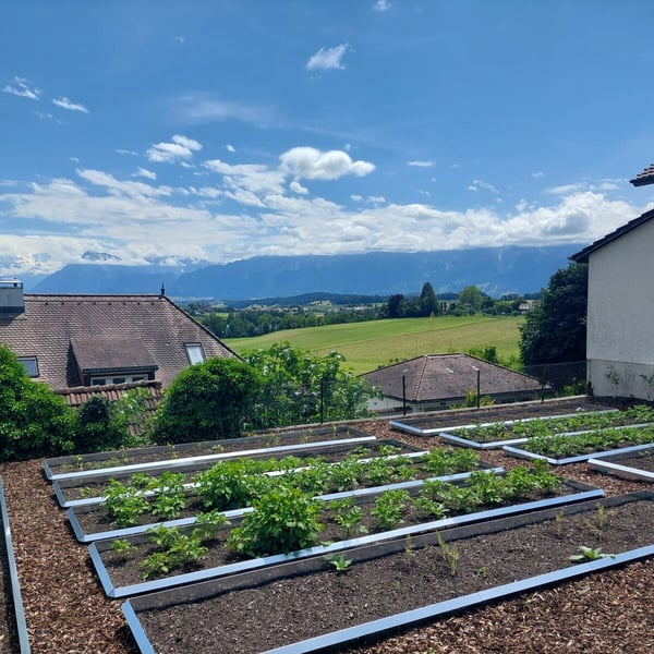 4.5-Zimmer-Dachwohnung in Gerzensee mit Weitblick 10