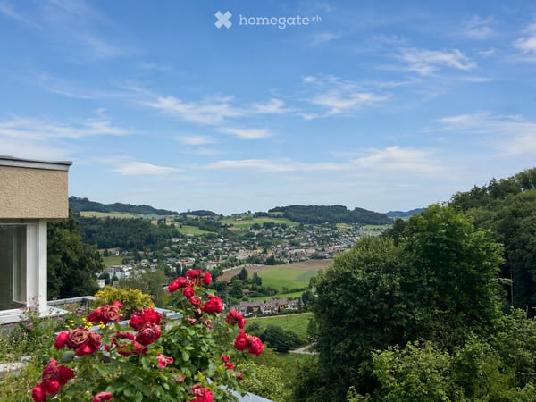 Familienfreundliche Lage mit Aussicht 5