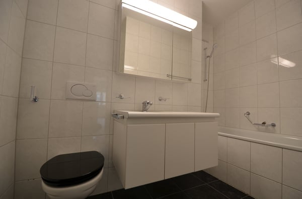2.5-Zimmer-Attikawohnung 7
