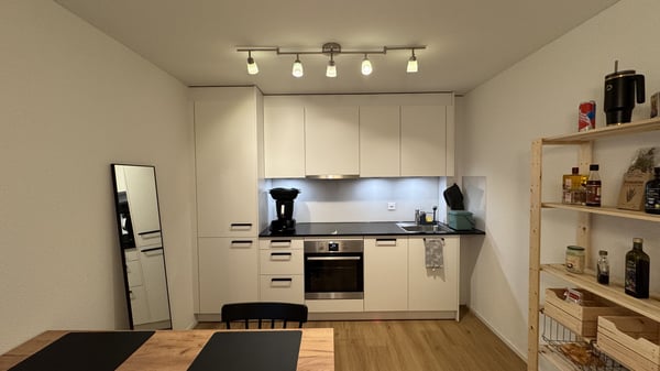moderne Wohnung in Schlieren 2