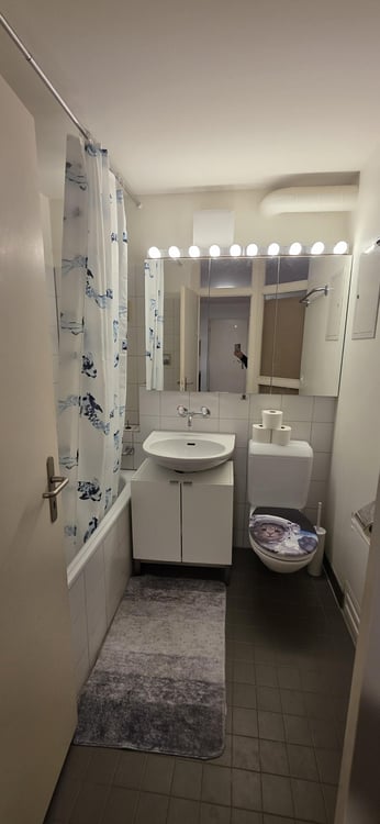 Helle 3-Zimmerwohnung in familienfreundlicher Umgebung in Fällanden 5