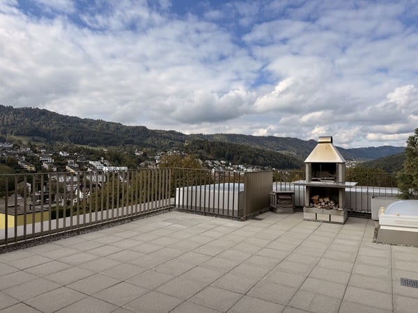 Attika-Feeling: Atemberaubende 4.5-Zimmerwohnung mit 60 m² privater Dachterrasse und Weitsicht (Gemeinde Thalwil) 1