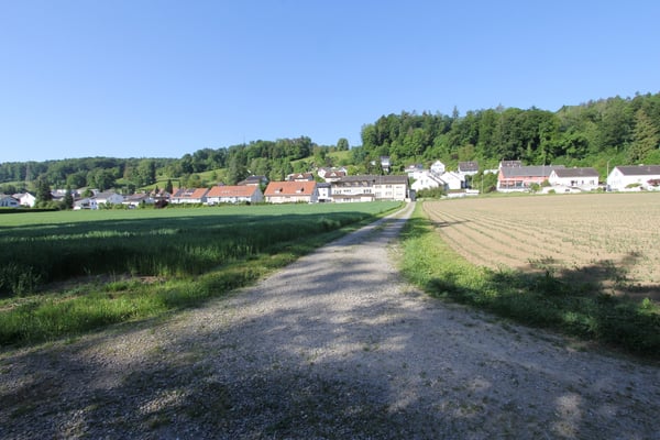 Wohn-Gewerbehaus mit Bauparzelle und Entwicklungspotential 13