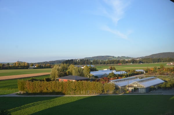 moderne 1-Zimmer-Wohnung mit Balkon an sonniger Lage 11