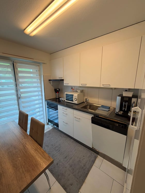 moderne 1-Zimmer-Wohnung mit zwei Balkonen 2