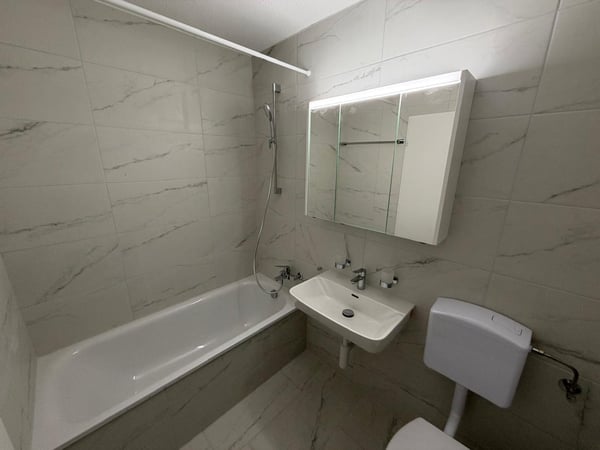 renovierte 3-Zimmer-Wohnung mit grossem sonnigem Balkon 5