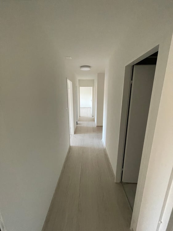 renovierte 3-Zimmer-Wohnung mit grossem sonnigem Balkon 8