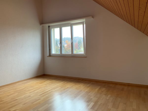 sehr grosse 4.5-Zimmer-Dachwohnung mit eigenem Waschturm und Lift 6