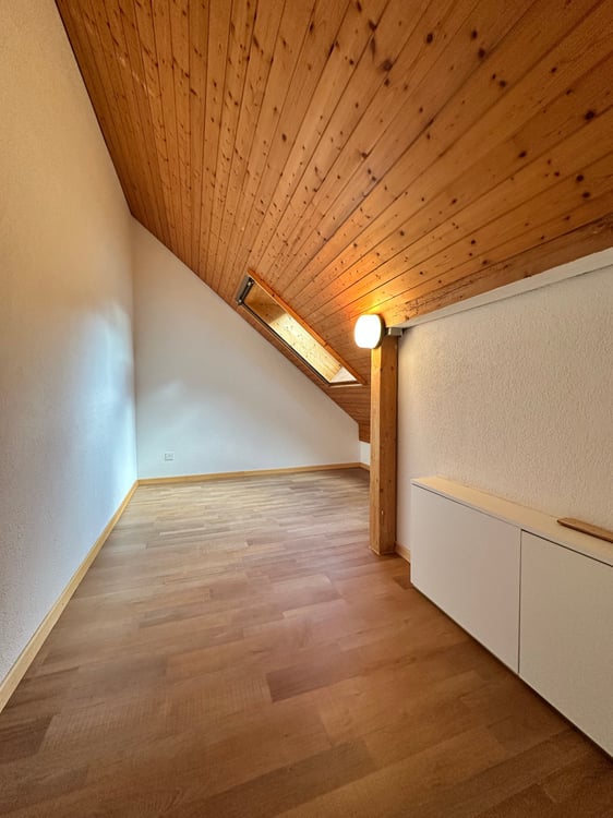 sehr grosse 4.5-Zimmer-Dachwohnung mit eigenem Waschturm und Lift 7