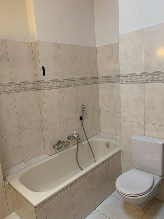 sehr grosse 4.5-Zimmer-Dachwohnung mit eigenem Waschturm und Lift 9