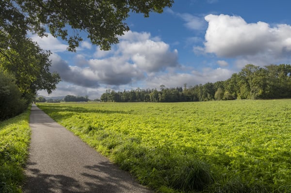 1.5-Zimmer-Wohnoase für Paare und Kleinfamilien 10
