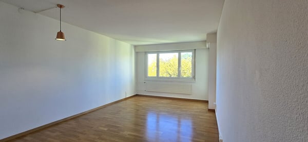Sonnige Wohnung mit grossem Balkon 2