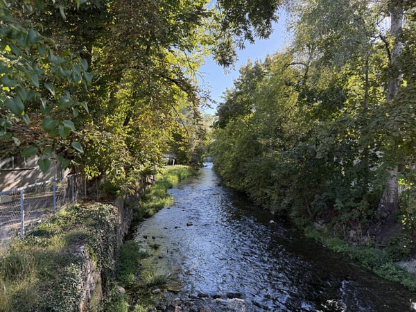 Lebensqualität mit Raum zum Wohlfühlen 5