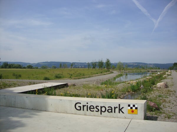Familienfreundliches Eckeinfamilienhaus im Grünen 3