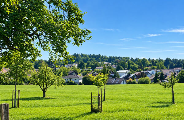 4.5-Zimmer-Gartenwohnung mit Potenzial 5