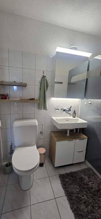 Maisonette-Wohnung mit Weitsicht zum Greifensee 7
