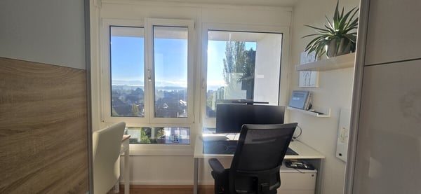 Maisonette-Wohnung mit Weitsicht zum Greifensee 6