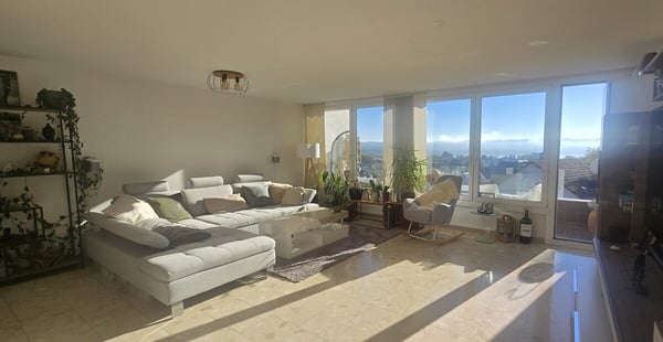 Maisonette-Wohnung mit Weitsicht zum Greifensee 1