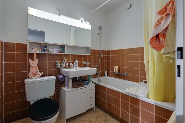 Wohnen im Grünen mit Stadtnähe 5