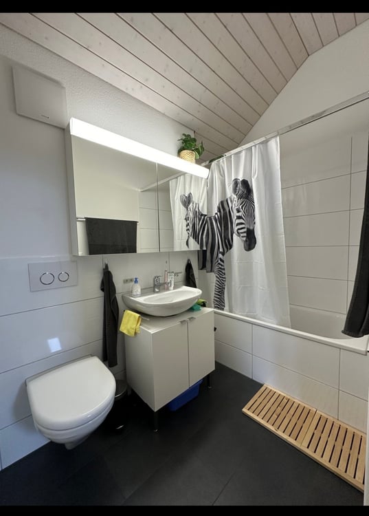 1.5-Zimmer-Dachgeschosswohnung an ruhiger Lage in Affoltern am Albis 5