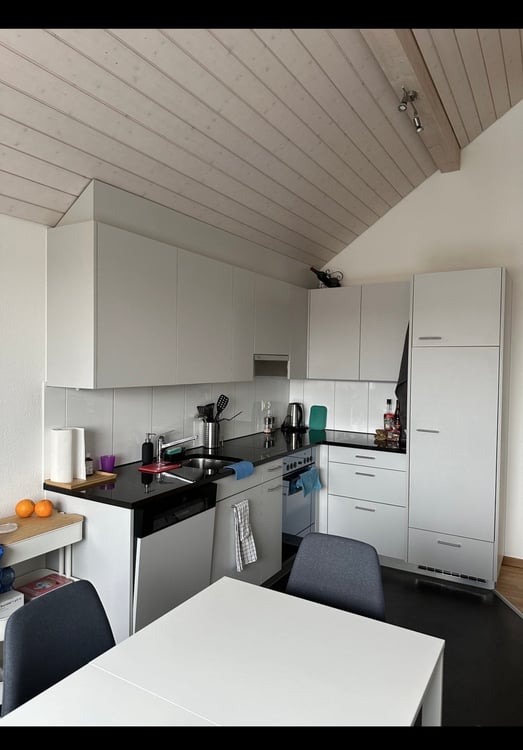 1.5-Zimmer-Dachgeschosswohnung an ruhiger Lage in Affoltern am Albis 6