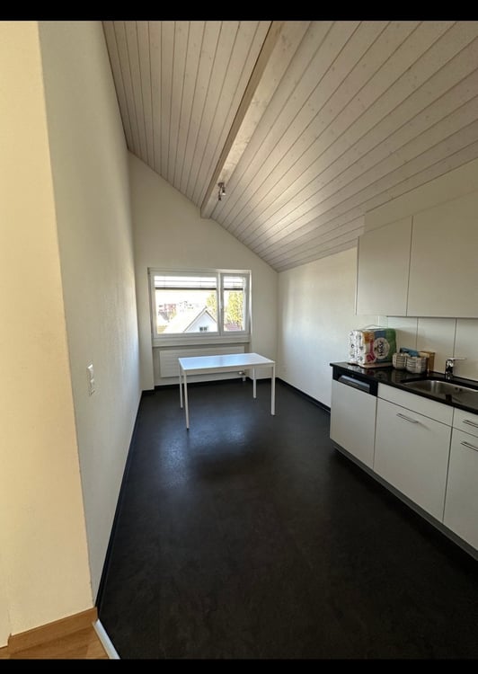 1.5-Zimmer-Dachgeschosswohnung an ruhiger Lage in Affoltern am Albis 7