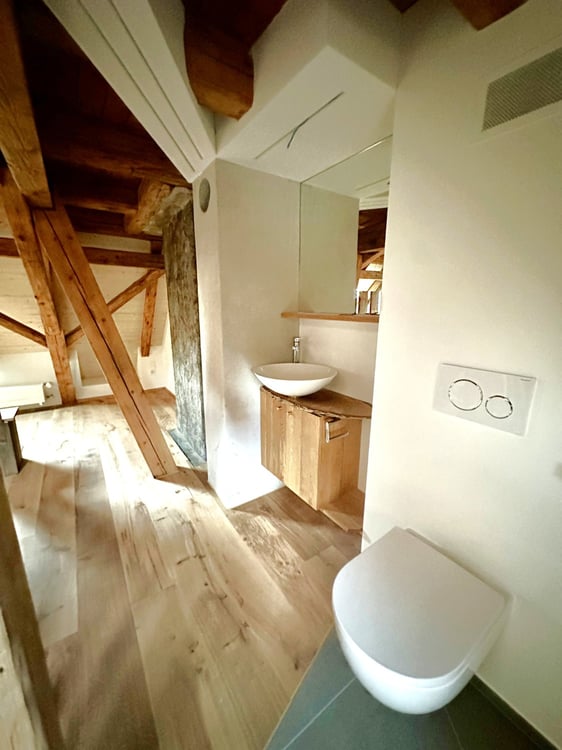 1.5-Zi-Maisonette-Wohnung mit Dachterrasse - Erstvermietung nach Totalsanierung 9