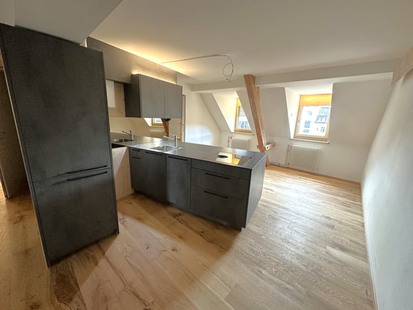 1.5-Zi-Maisonette-Wohnung mit Dachterrasse - Erstvermietung nach Totalsanierung 3