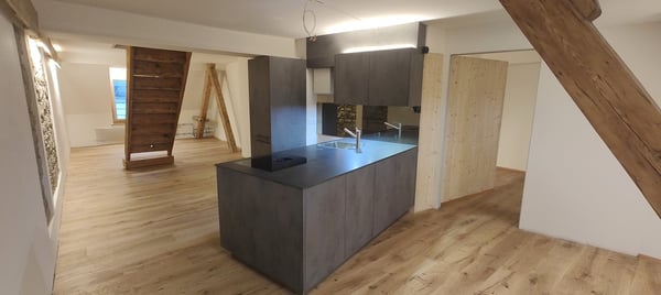 1.5-Zi-Maisonette-Wohnung mit Dachterrasse - Erstvermietung nach Totalsanierung 1