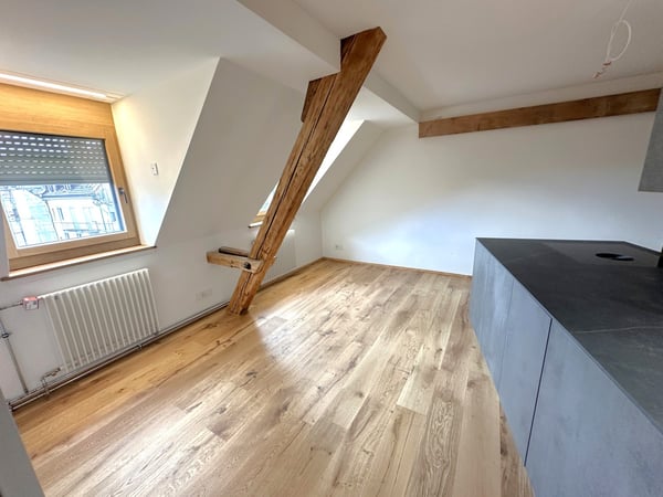 1.5-Zi-Maisonette-Wohnung mit Dachterrasse - Erstvermietung nach Totalsanierung 2