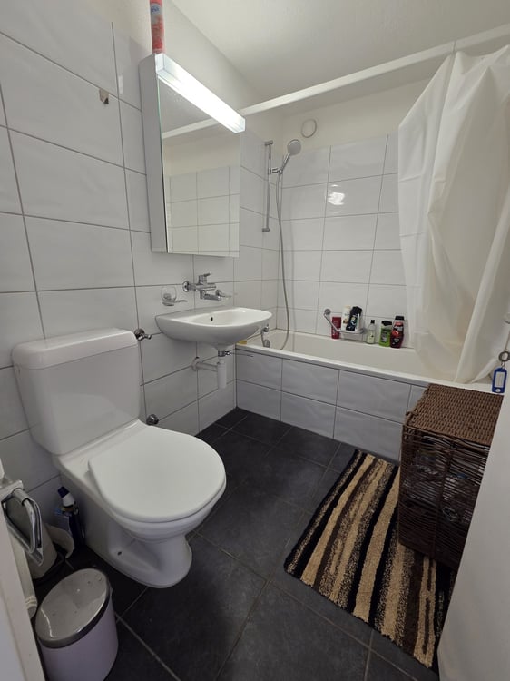 3.5-Zimmer-Wohnung mit Balkon 7