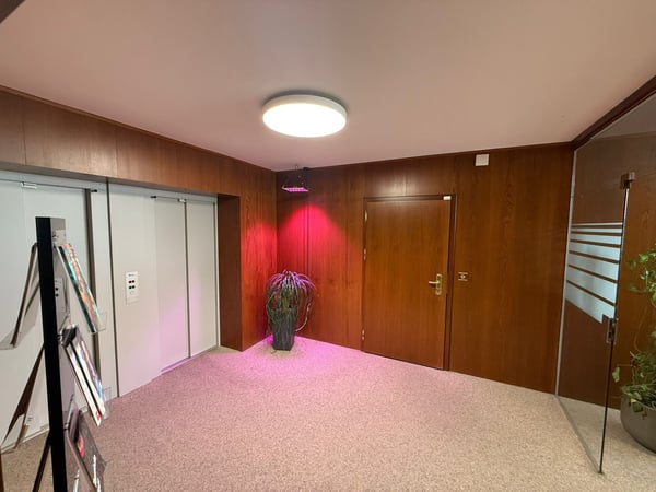 Helle Bürofläche mit grossem Empfangsbereich an attraktiver Lage in Regensdorf 2